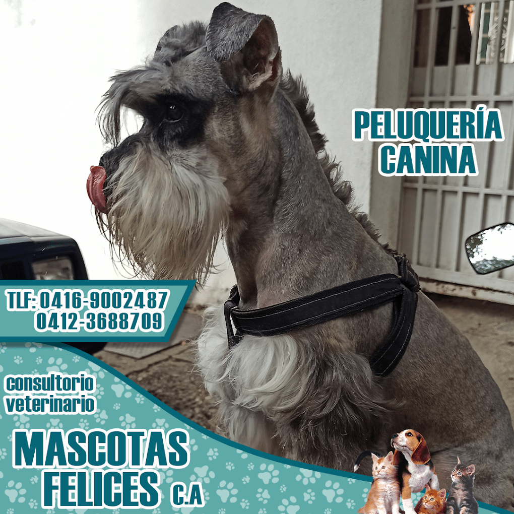 CONSULTORIO-VETERINARIO-MASCOTAS-FELICES-C.A1