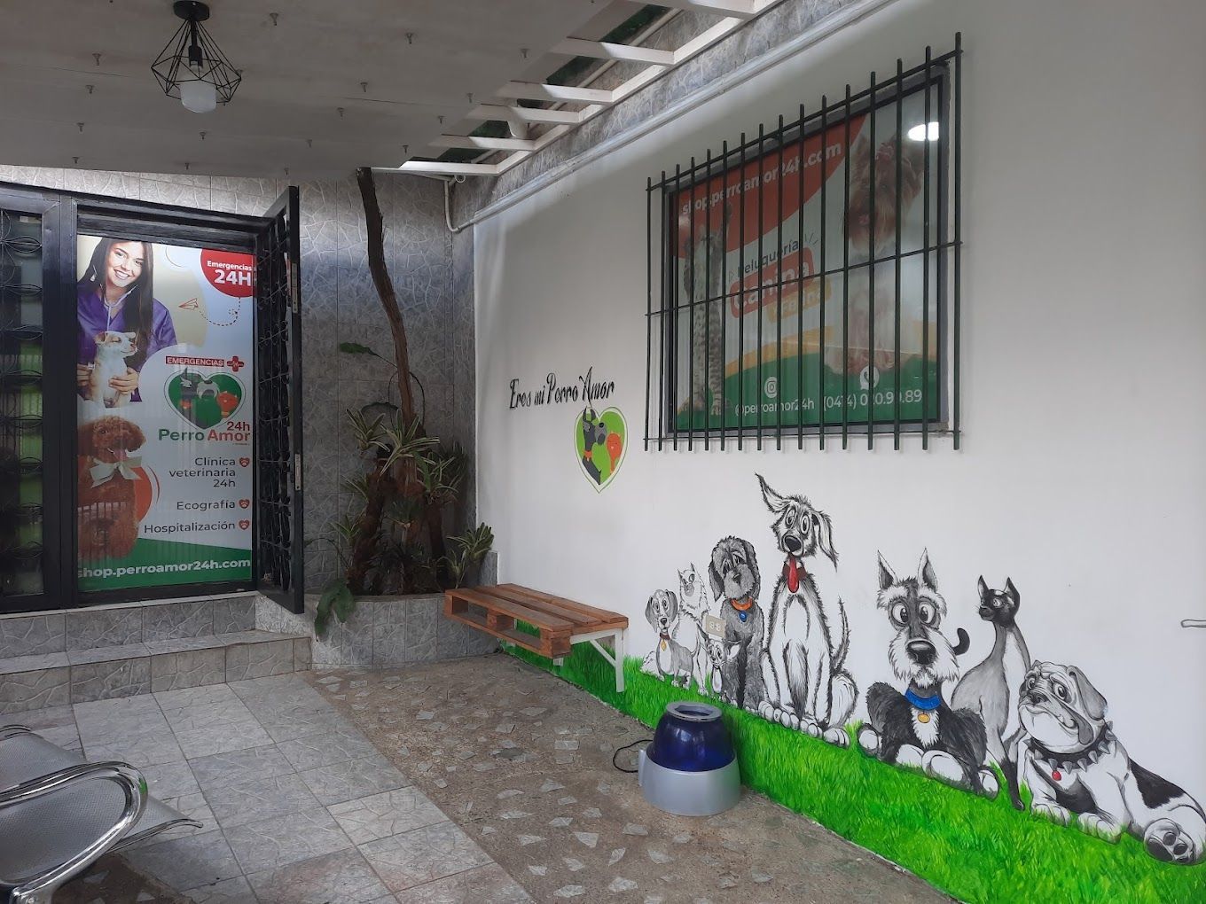 Patio-Clinica-Perro-Amor-24h